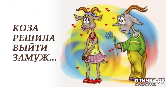 ���� 1: ����� ����� �� �����