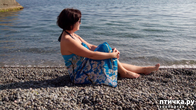 ���� 14: �������� ���������� ������