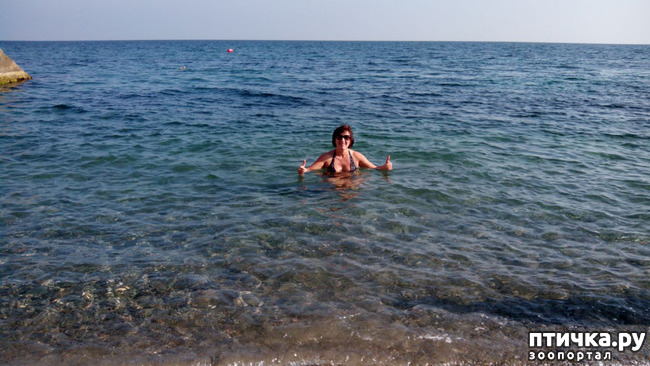 ���� 15: �������� ���������� ������