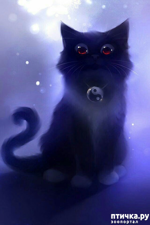 ����: ��� � �����