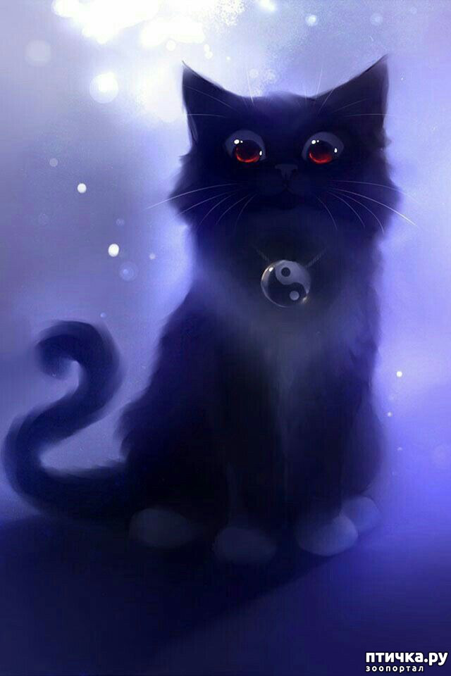 ���� 1: ��� � �����