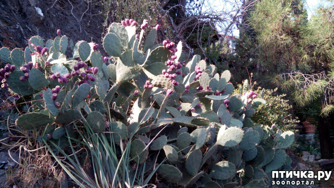 ���� 16: �������� ���������� ������