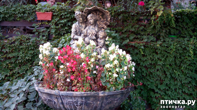 ���� 17: �������� ���������� ������