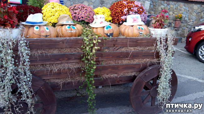 ���� 18: �������� ���������� ������