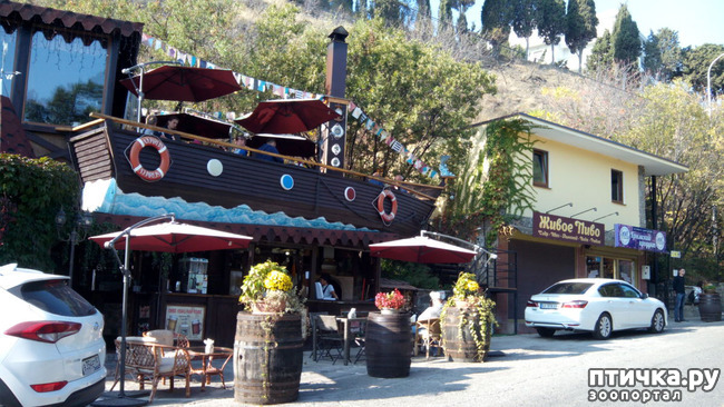 ���� 19: �������� ���������� ������