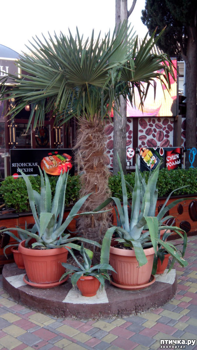 ���� 20: �������� ���������� ������