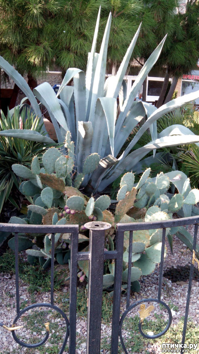 ���� 21: �������� ���������� ������