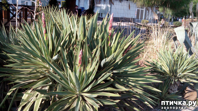 ���� 22: �������� ���������� ������