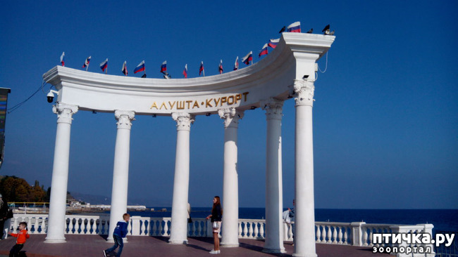 ���� 23: �������� ���������� ������