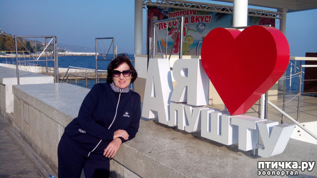 ���� 24: �������� ���������� ������