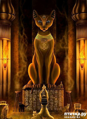 фотография: Приколы 2 фото: Приколы 2