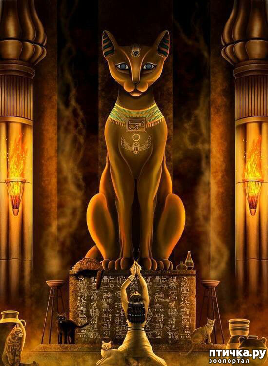 ���� 1: ������� 2