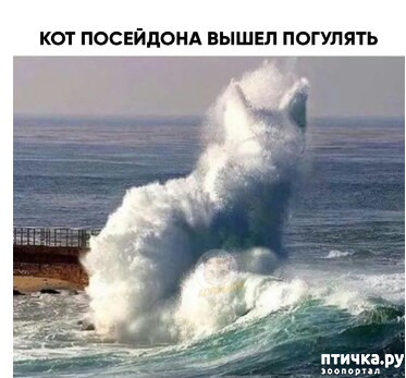 ���� 2: ������� 2