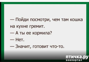 ����: ������ 3