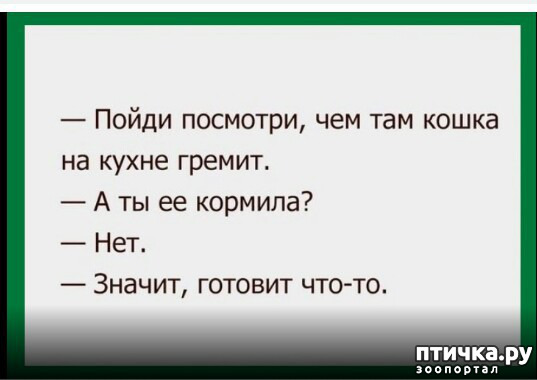 ���� 1: ������ 3