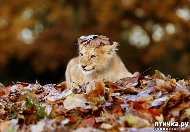 ���� 1: ��������� ������ � �������!