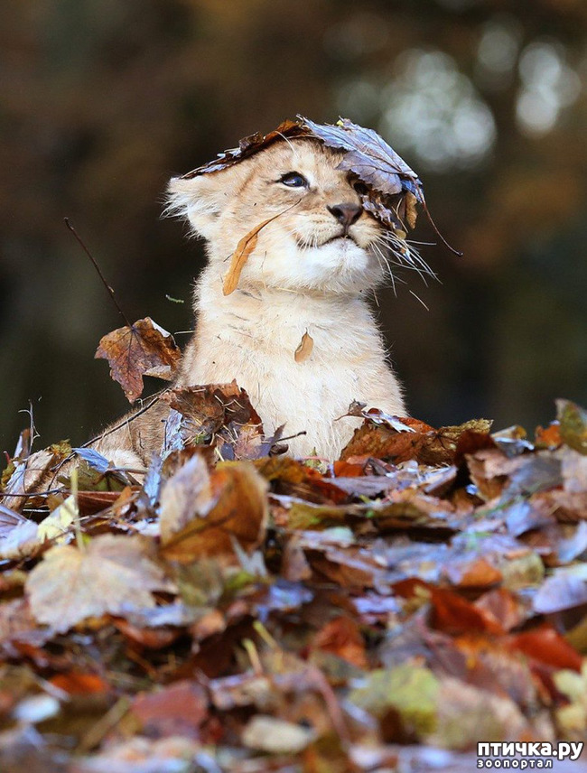 ���� 2: ��������� ������ � �������!