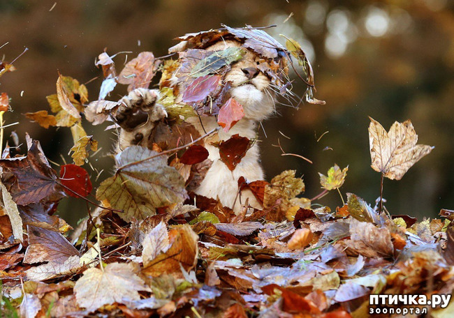 ���� 4: ��������� ������ � �������!