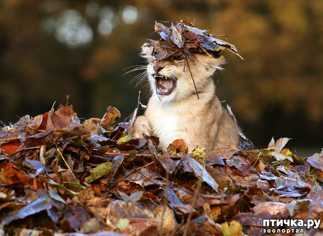 ���� 3: ��������� ������ � �������!