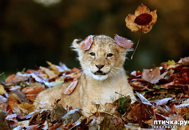 ���� 6: ��������� ������ � �������!