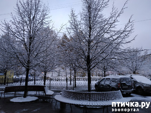 ����: ��� �� ��� �������? 4. �����