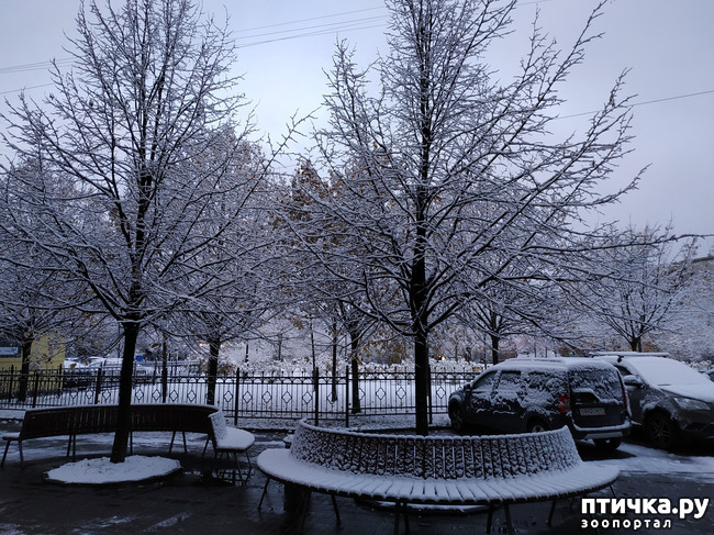 ���� 1: ��� �� ��� �������? 4. �����