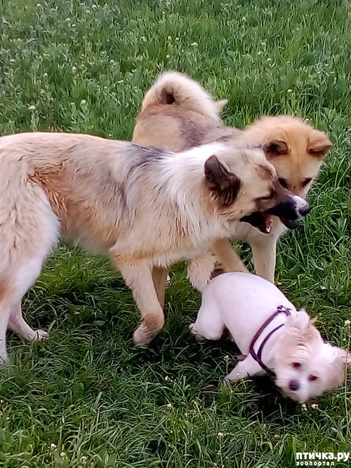 ���� 2: ��� �� ��� �������? 4. �����