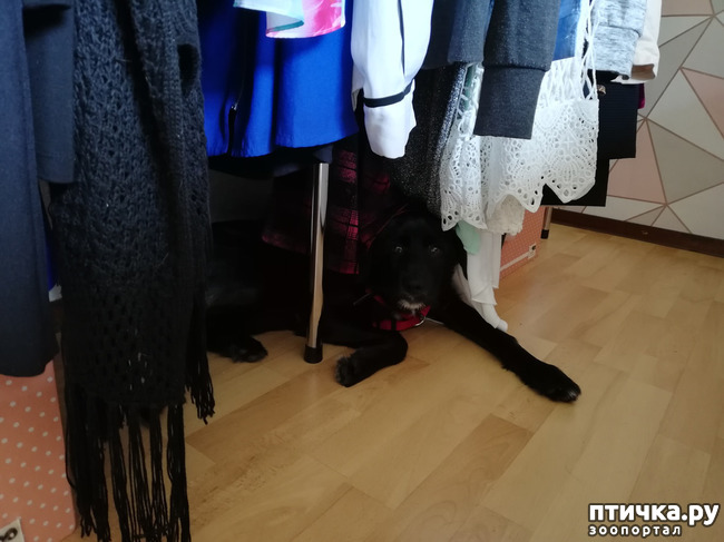 ���� 2: ����