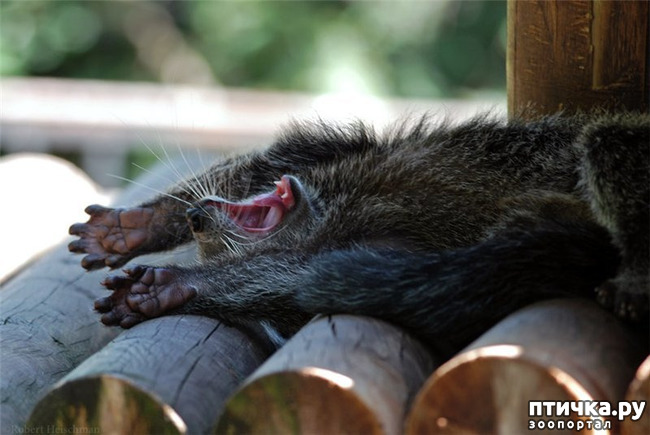 ���� 19: ����� - �������.