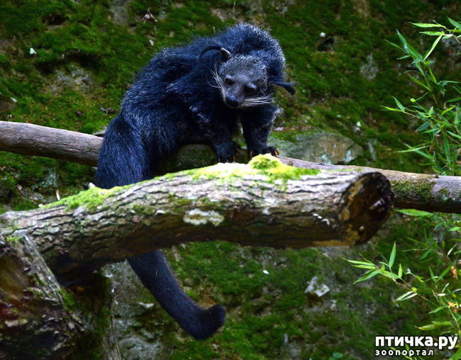 ���� 20: ����� - �������.