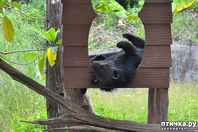 ���� 3: ����� - �������.