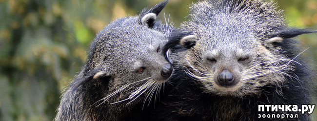 ���� 5: ����� - �������.