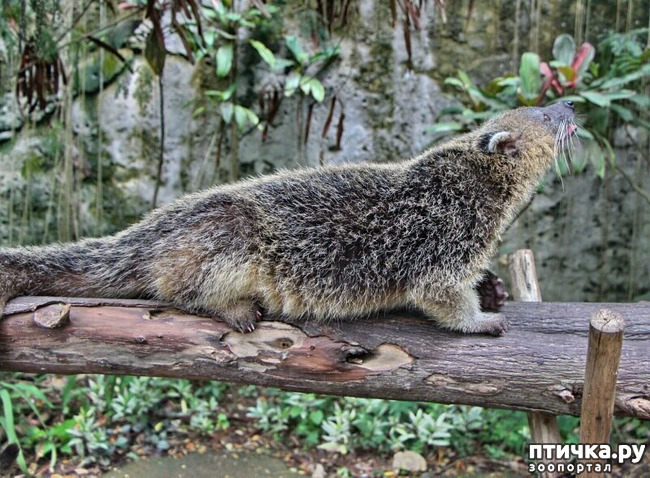 ���� 6: ����� - �������.