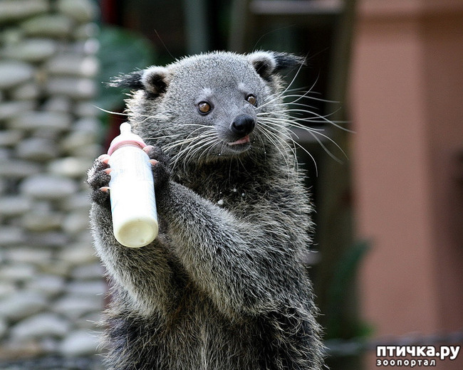 ���� 7: ����� - �������.