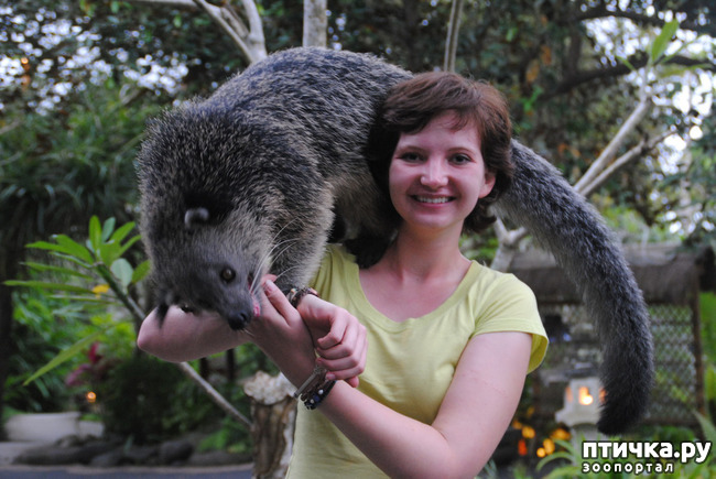 ���� 11: ����� - �������.