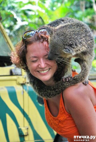 ���� 12: ����� - �������.