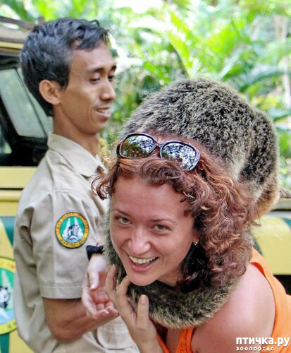 ���� 13: ����� - �������.