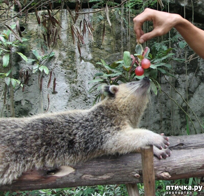 ���� 14: ����� - �������.