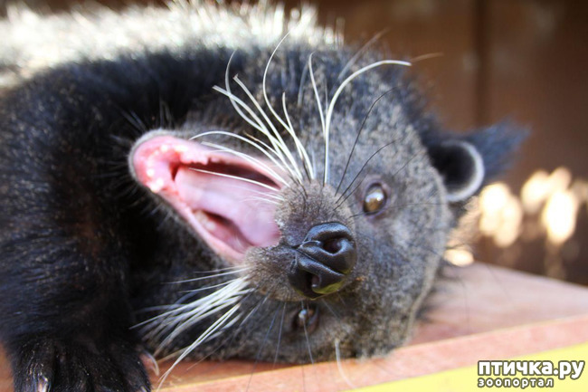 ���� 15: ����� - �������.