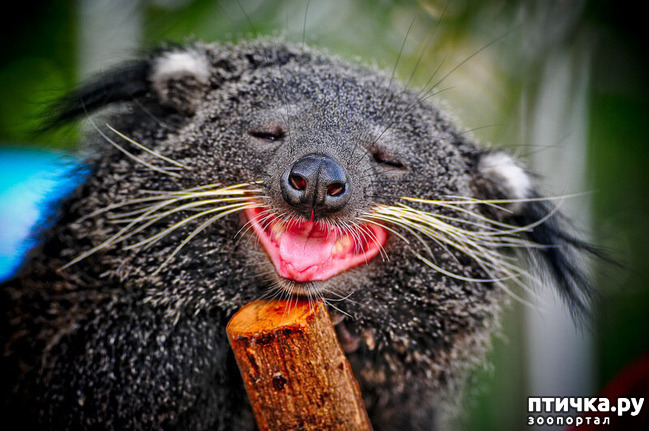 ���� 16: ����� - �������.