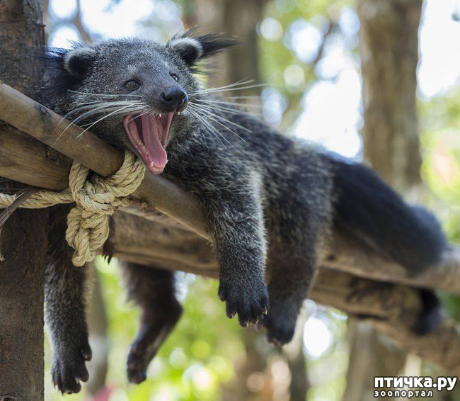 ���� 17: ����� - �������.