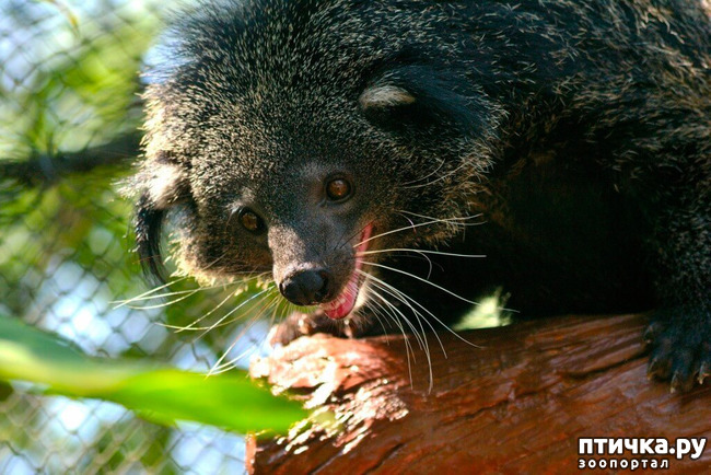 ���� 18: ����� - �������.