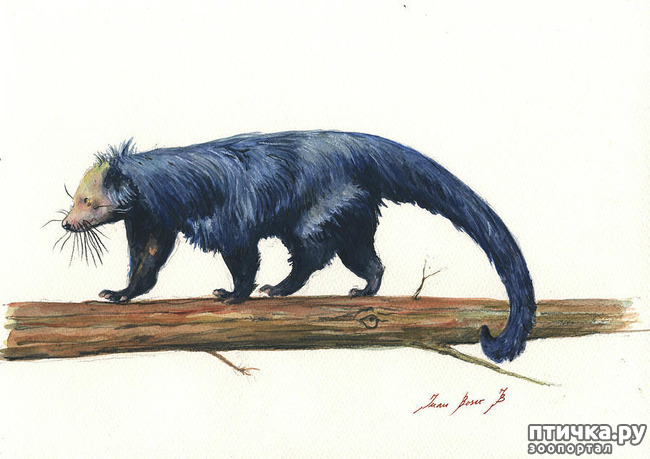 ���� 1: ����� - �������.