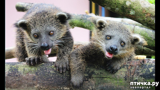 ���� 8: ����� - �������.