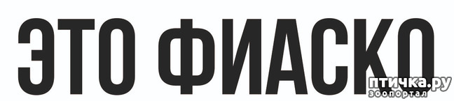 ���� 5: ��������! �����������!