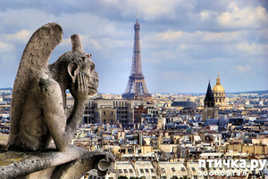 ����: ������� �������