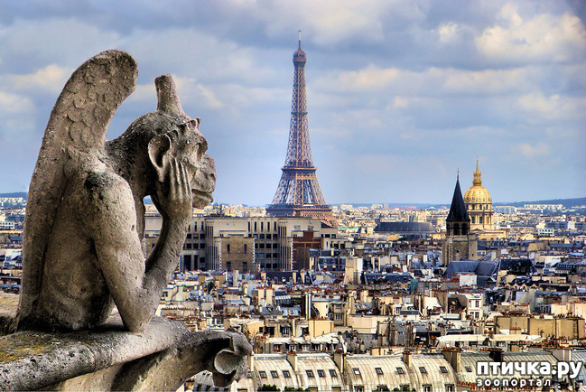 ���� 1: ������� �������