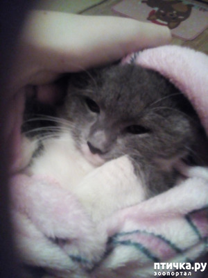 ����: ����!!!