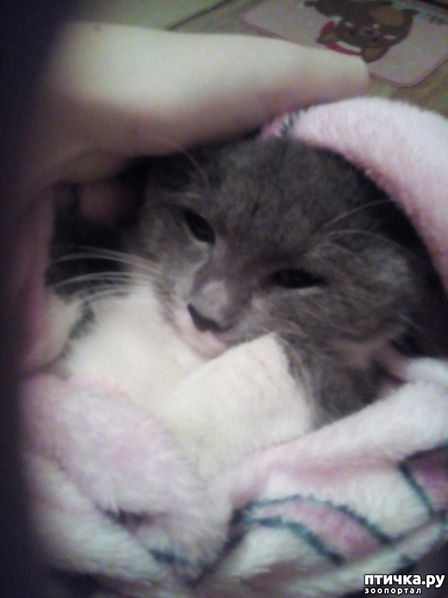 ���� 1: ����!!!