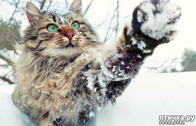 ���� 1: ������ � ����